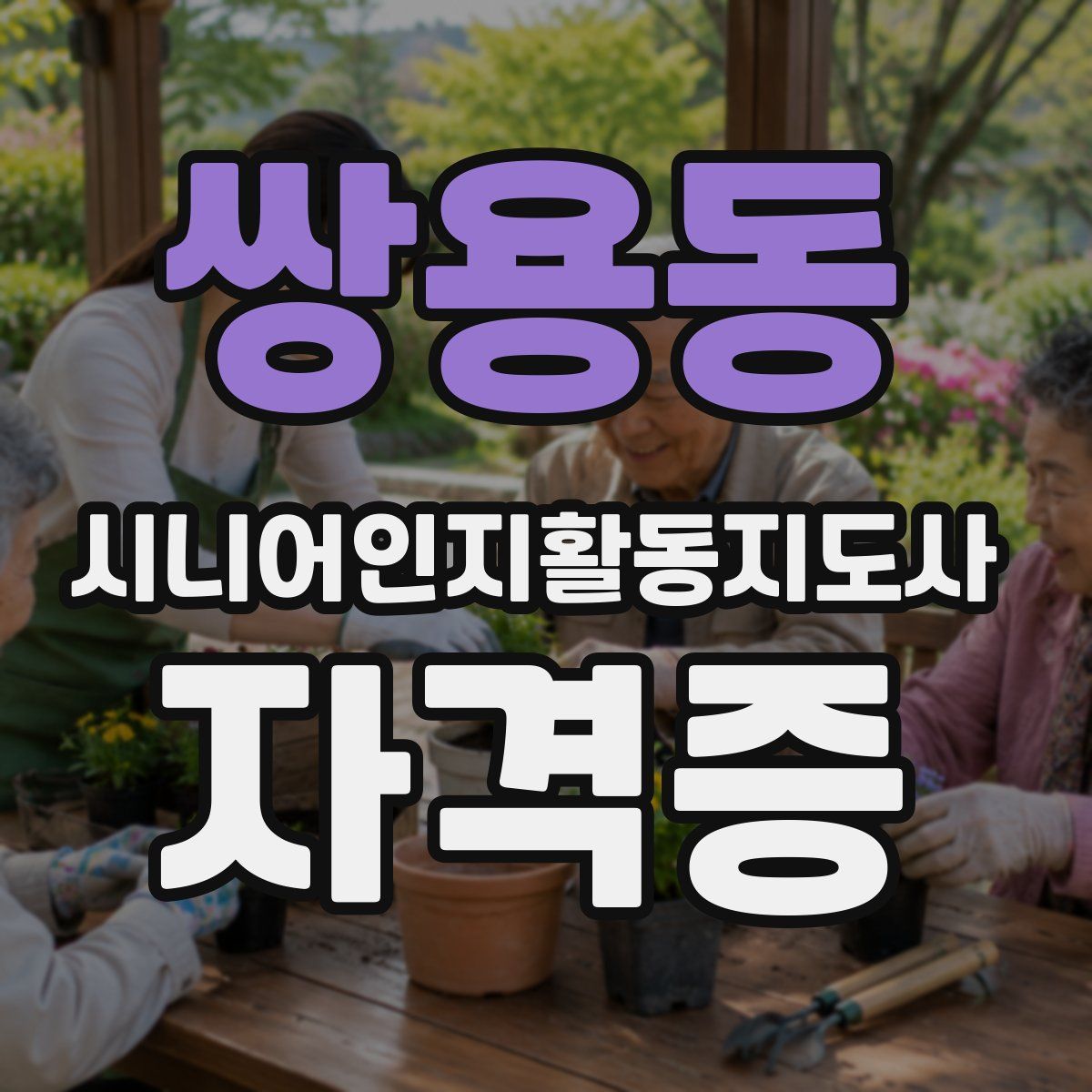 쌍용동 시니어인지활동지도사 자격증