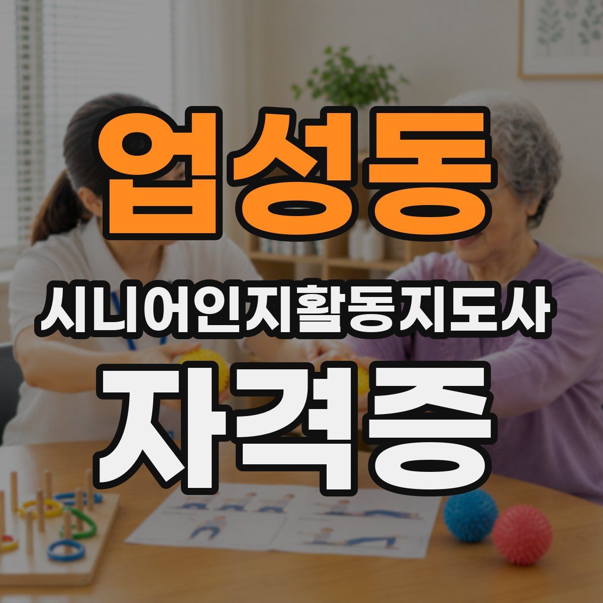 업성동 시니어인지활동지도사 자격증