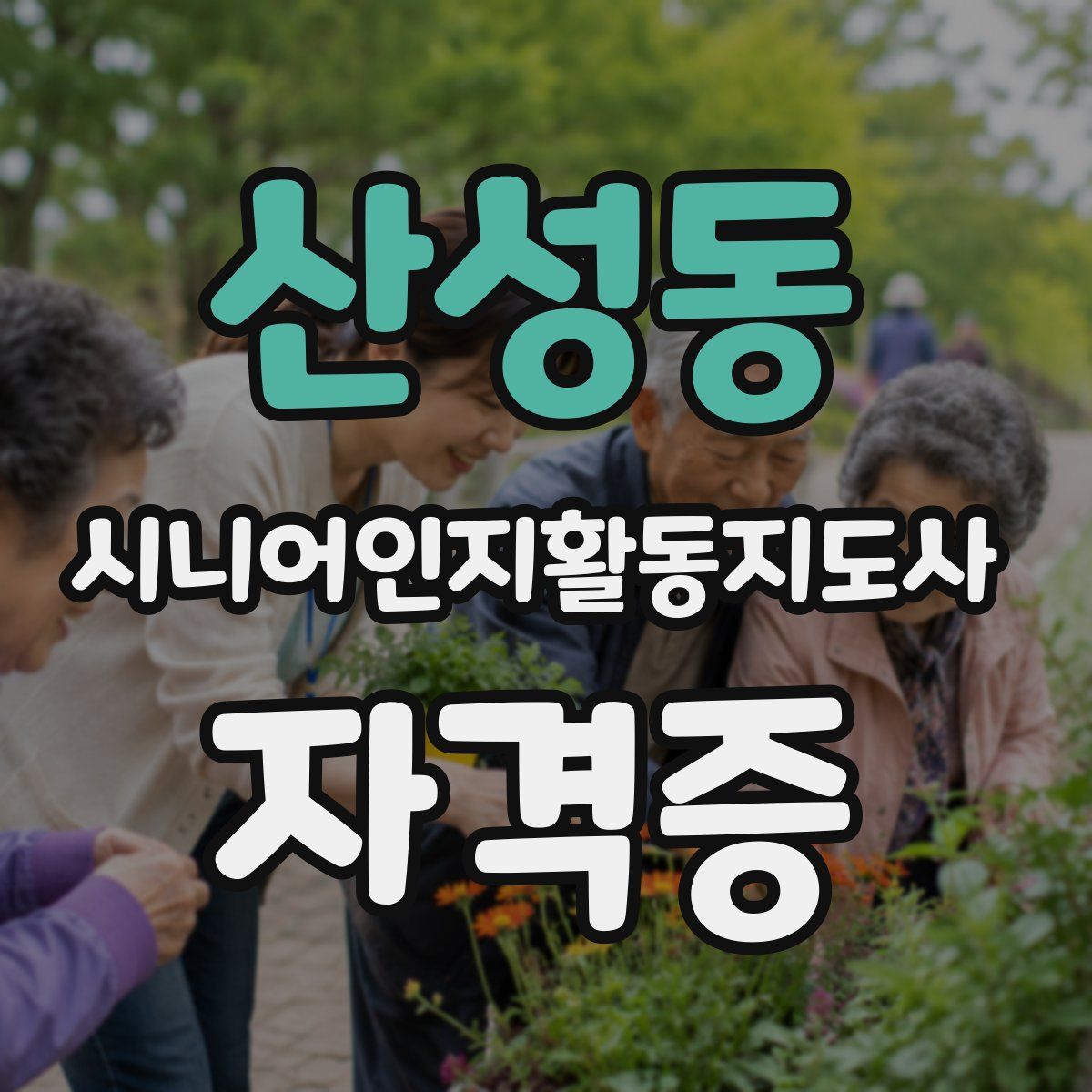 산성동 시니어인지활동지도사 자격증