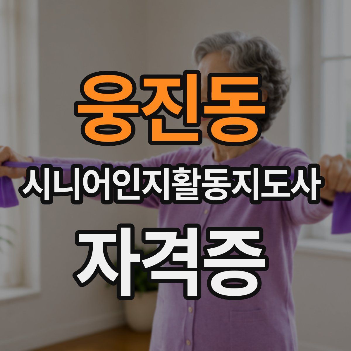 웅진동 시니어인지활동지도사 자격증