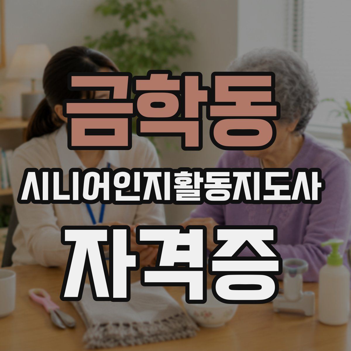 금학동 시니어인지활동지도사 자격증