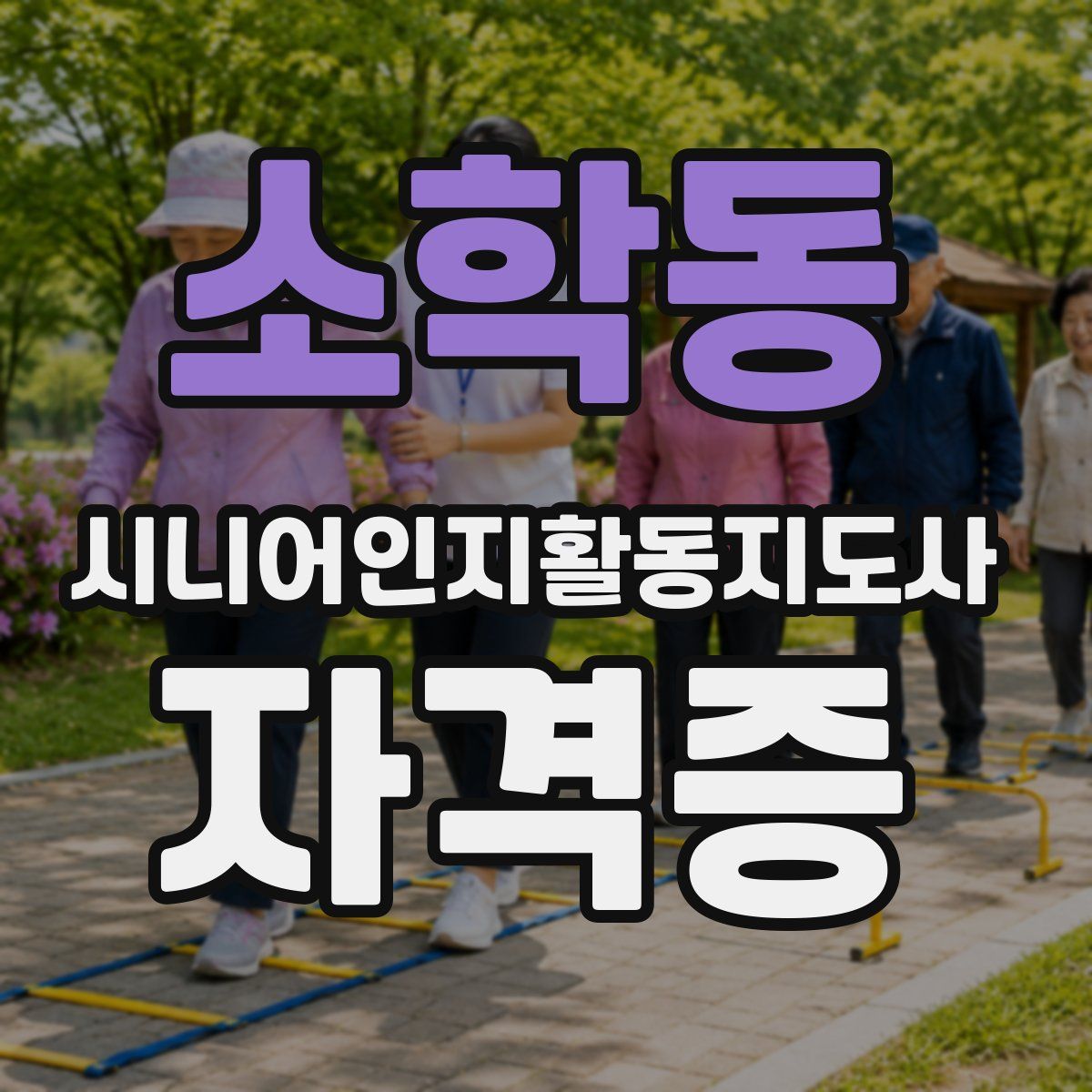 소학동 시니어인지활동지도사 자격증