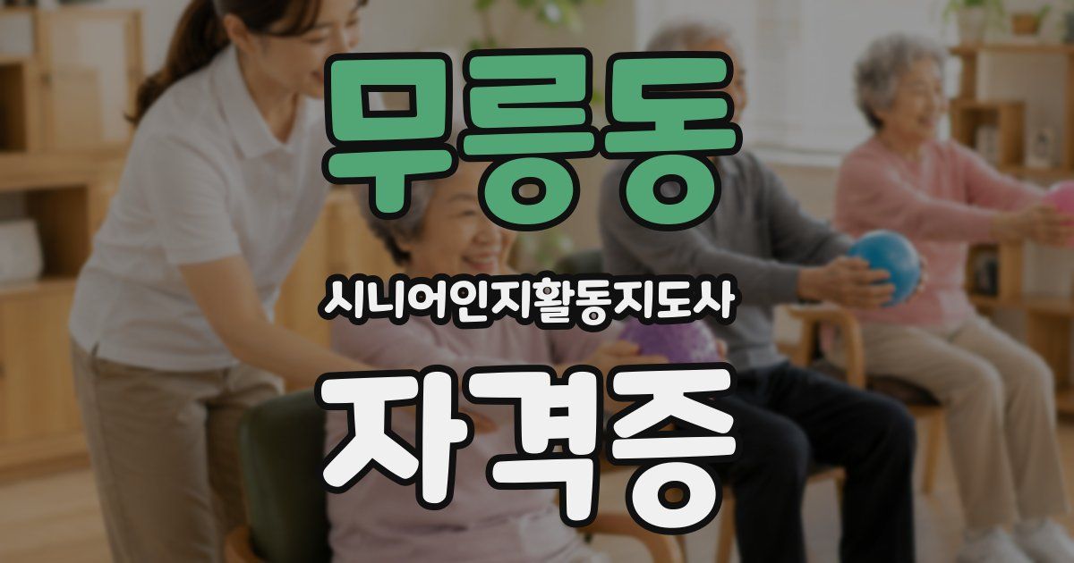 무릉동 시니어인지활동지도사 자격증