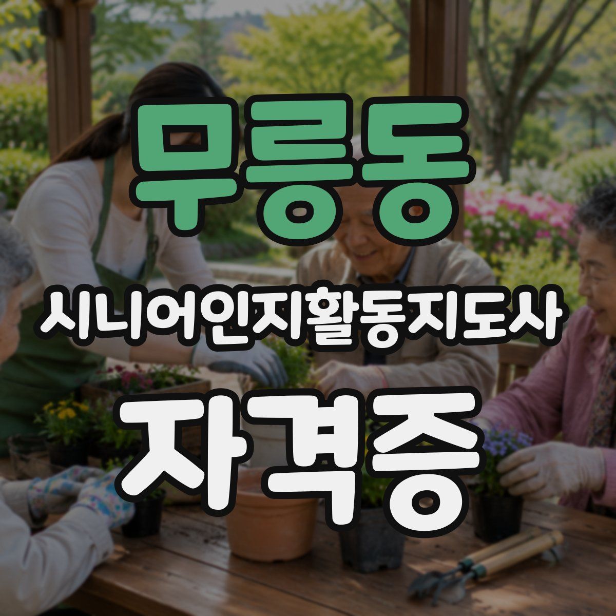 무릉동 시니어인지활동지도사 자격증