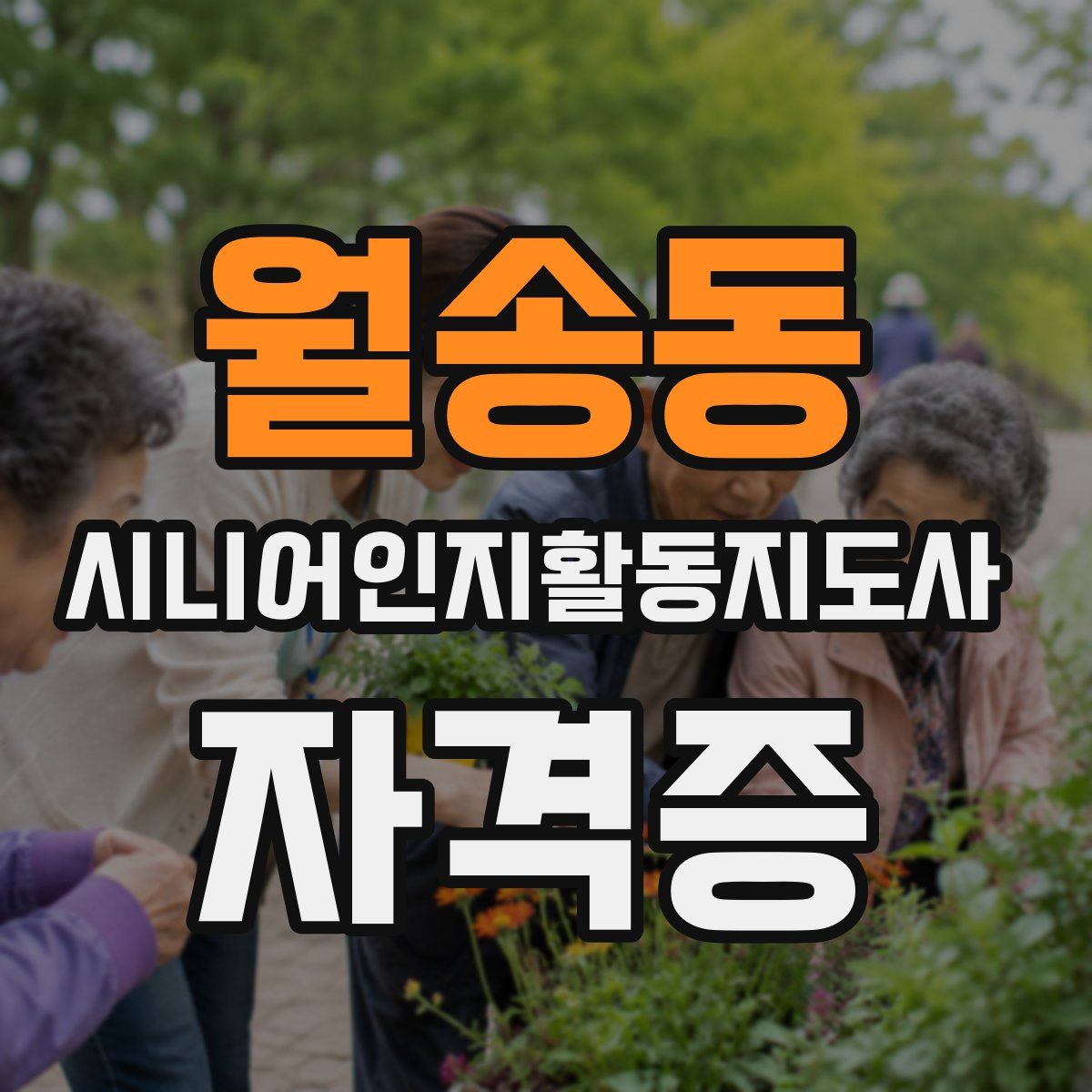 월송동 시니어인지활동지도사 자격증