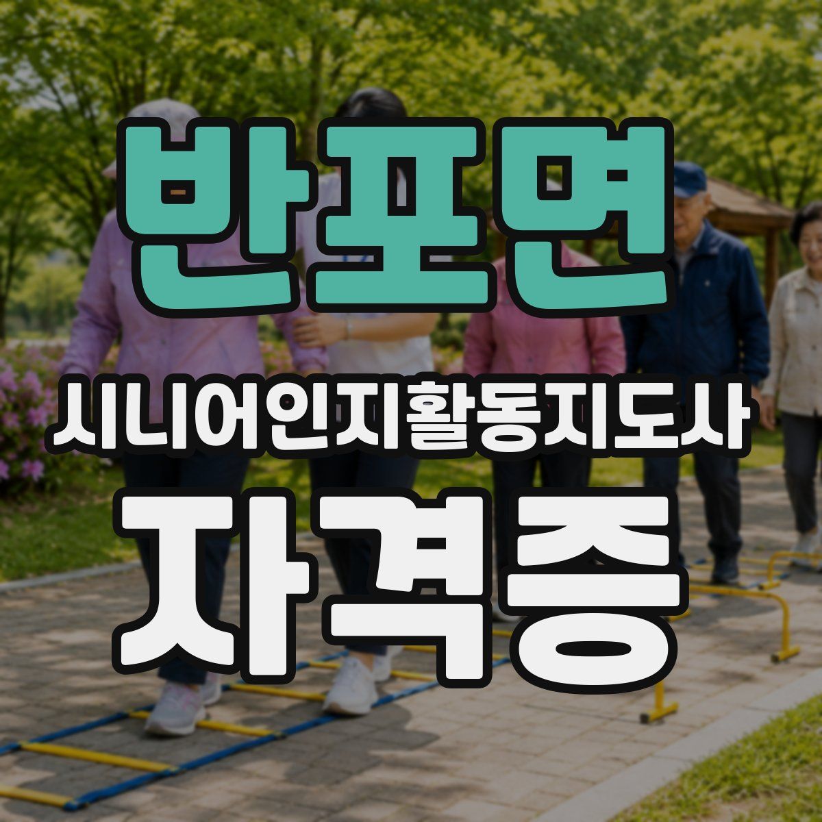 반포면 시니어인지활동지도사 자격증