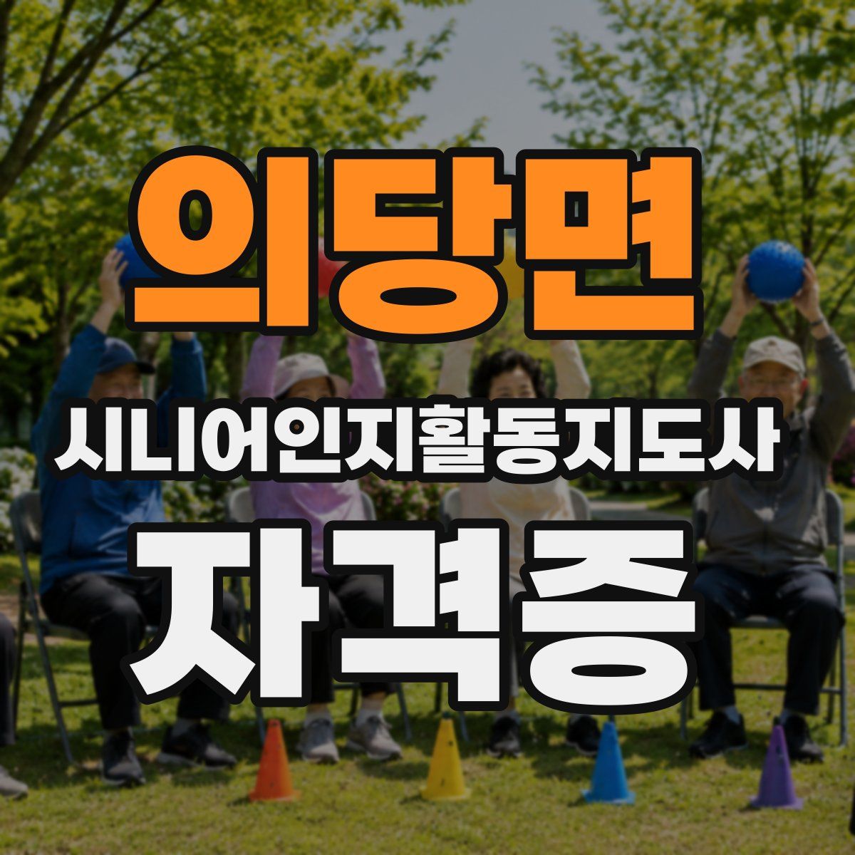 의당면 시니어인지활동지도사 자격증