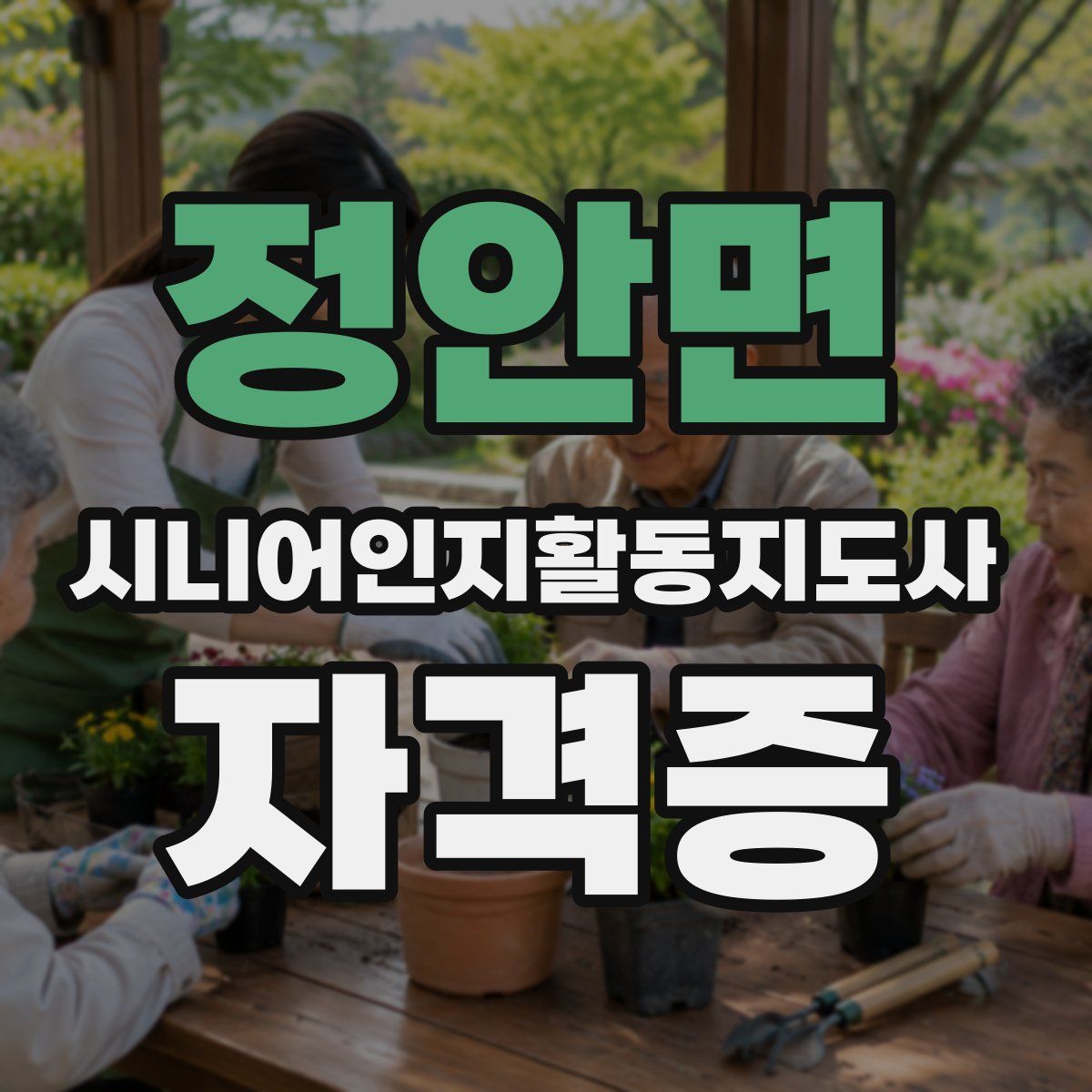 정안면 시니어인지활동지도사 자격증