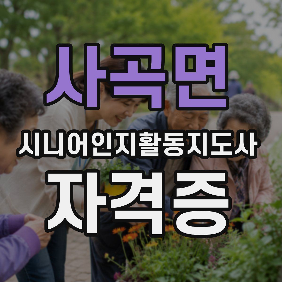 사곡면 시니어인지활동지도사 자격증