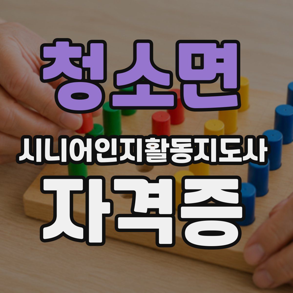 청소면 시니어인지활동지도사 자격증