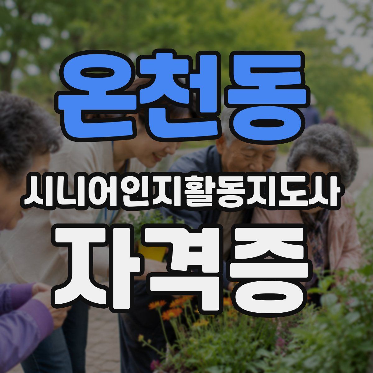온천동 시니어인지활동지도사 자격증