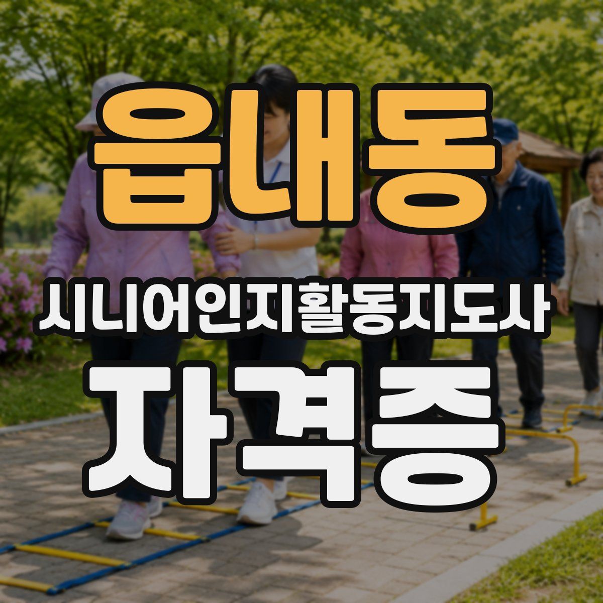 읍내동 시니어인지활동지도사 자격증