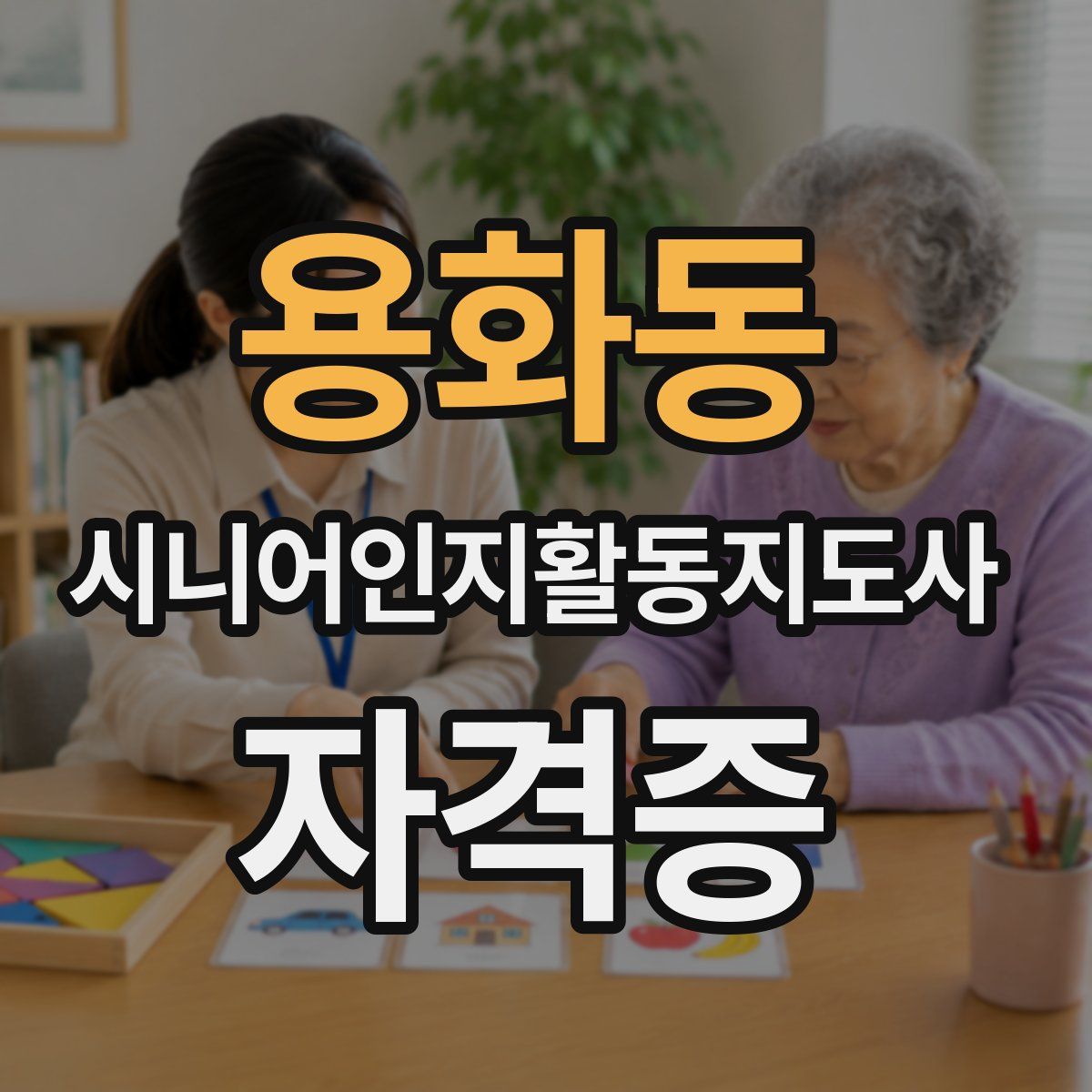 용화동 시니어인지활동지도사 자격증