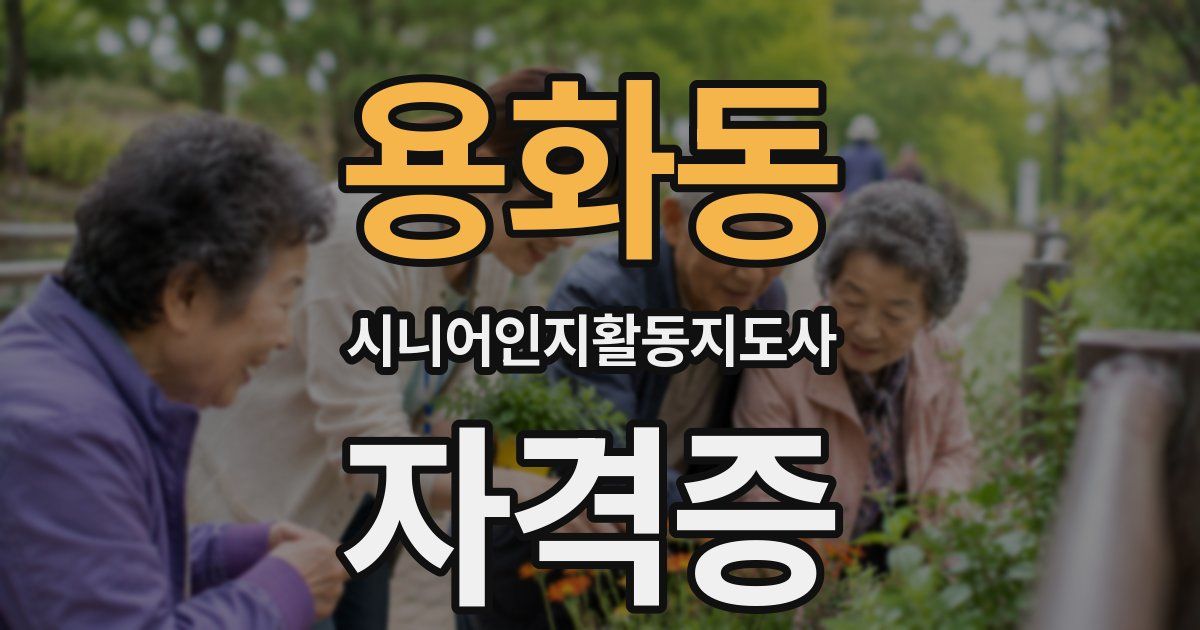 용화동 시니어인지활동지도사 자격증