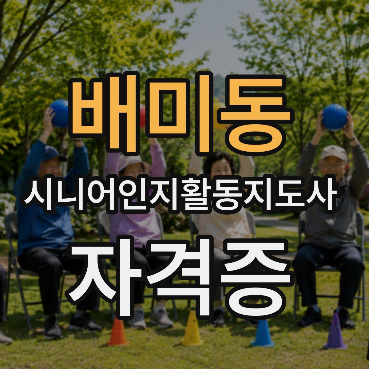 배미동 시니어인지활동지도사 자격증