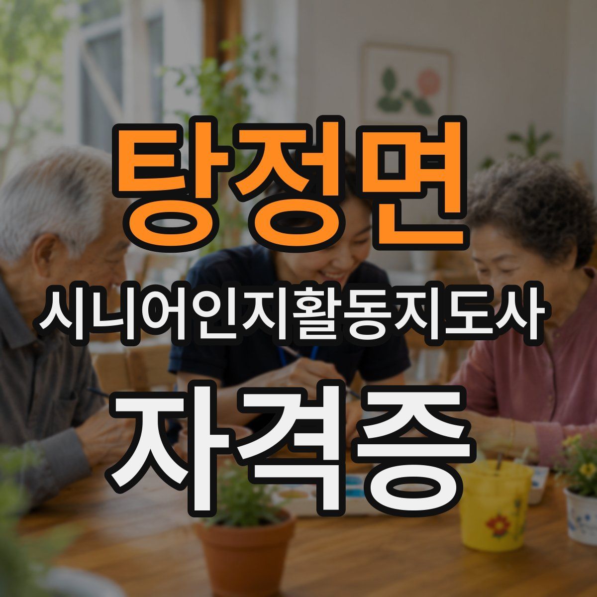 탕정면 시니어인지활동지도사 자격증