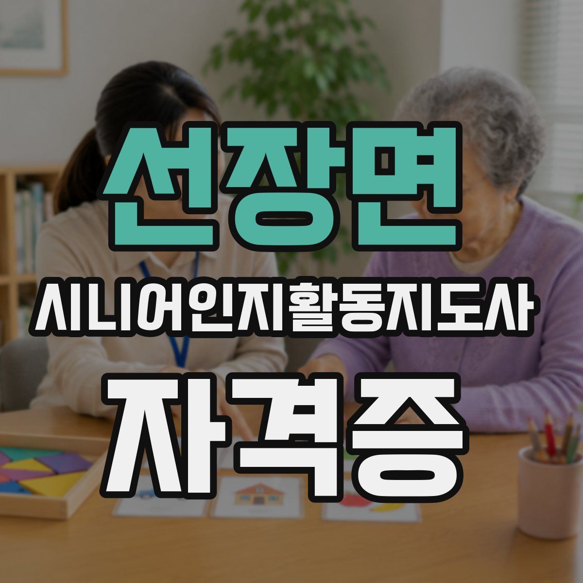 선장면 시니어인지활동지도사 자격증