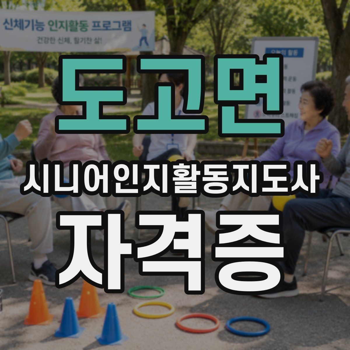 도고면 시니어인지활동지도사 자격증