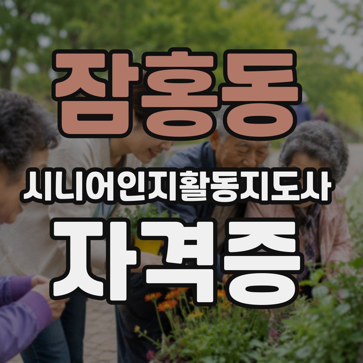 잠홍동 시니어인지활동지도사 자격증