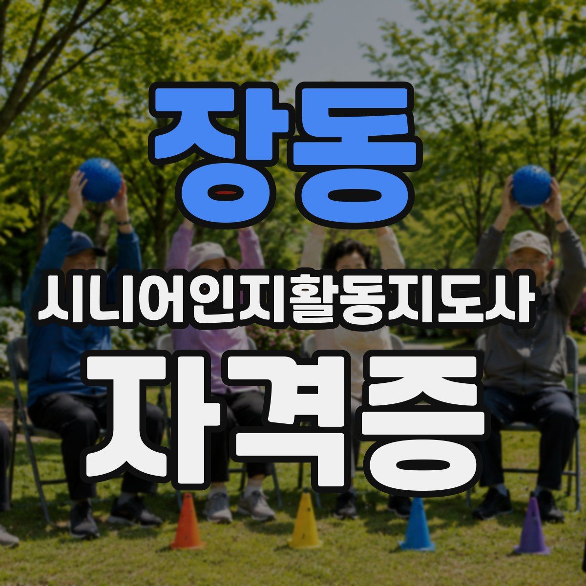 장동 시니어인지활동지도사 자격증