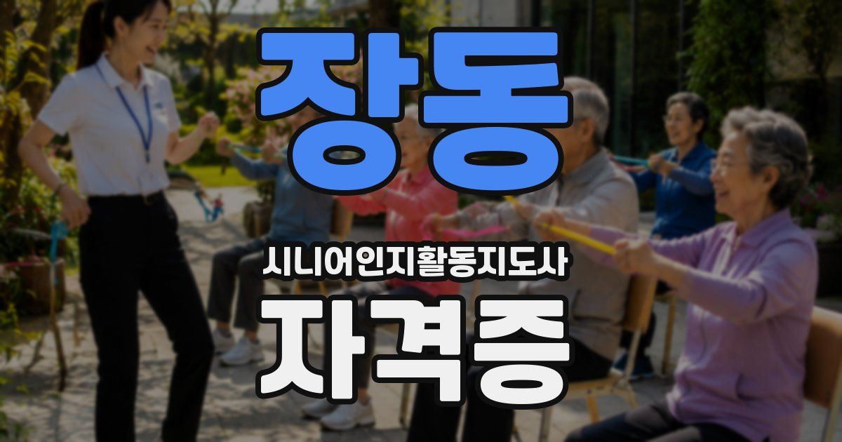 장동 시니어인지활동지도사 자격증