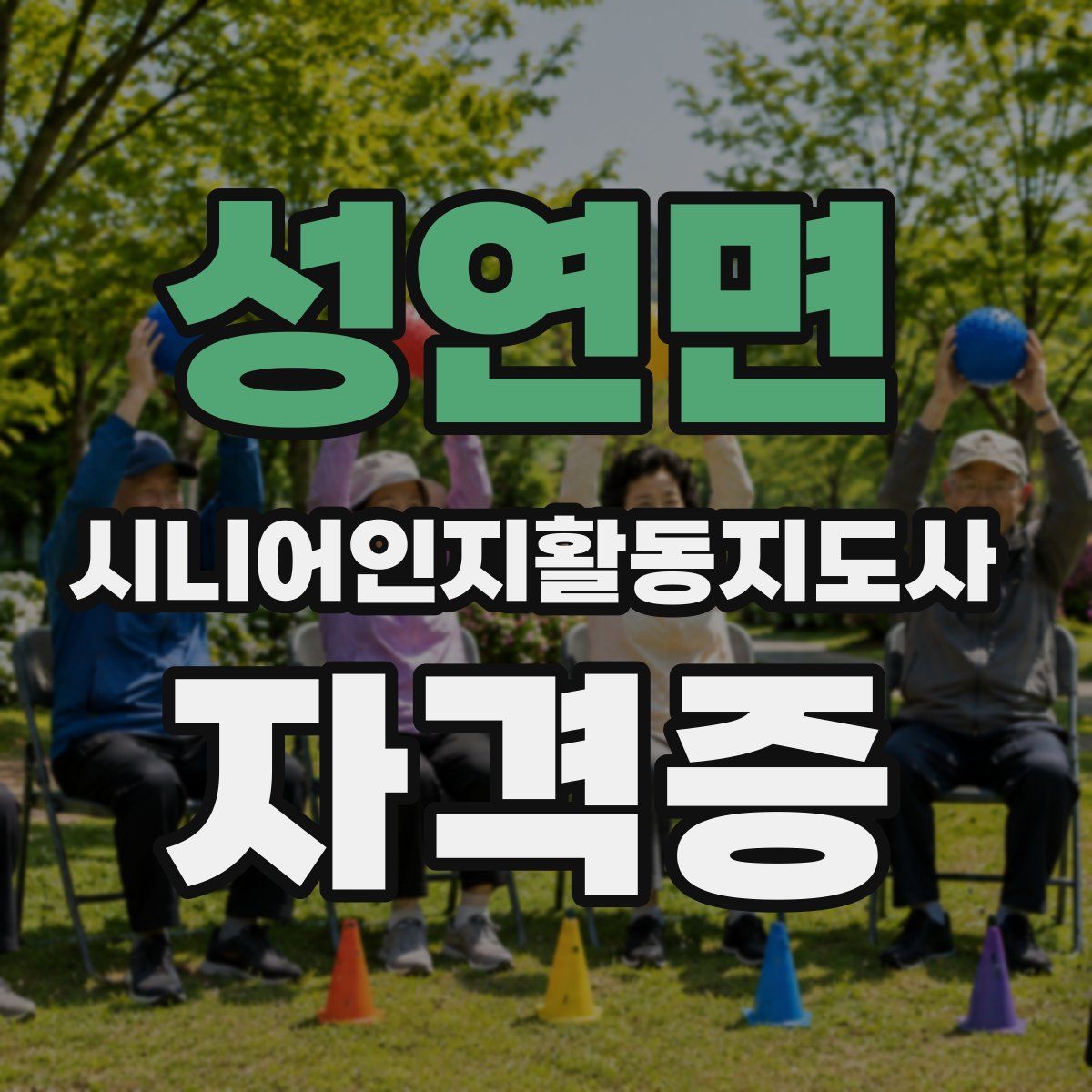 성연면 시니어인지활동지도사 자격증