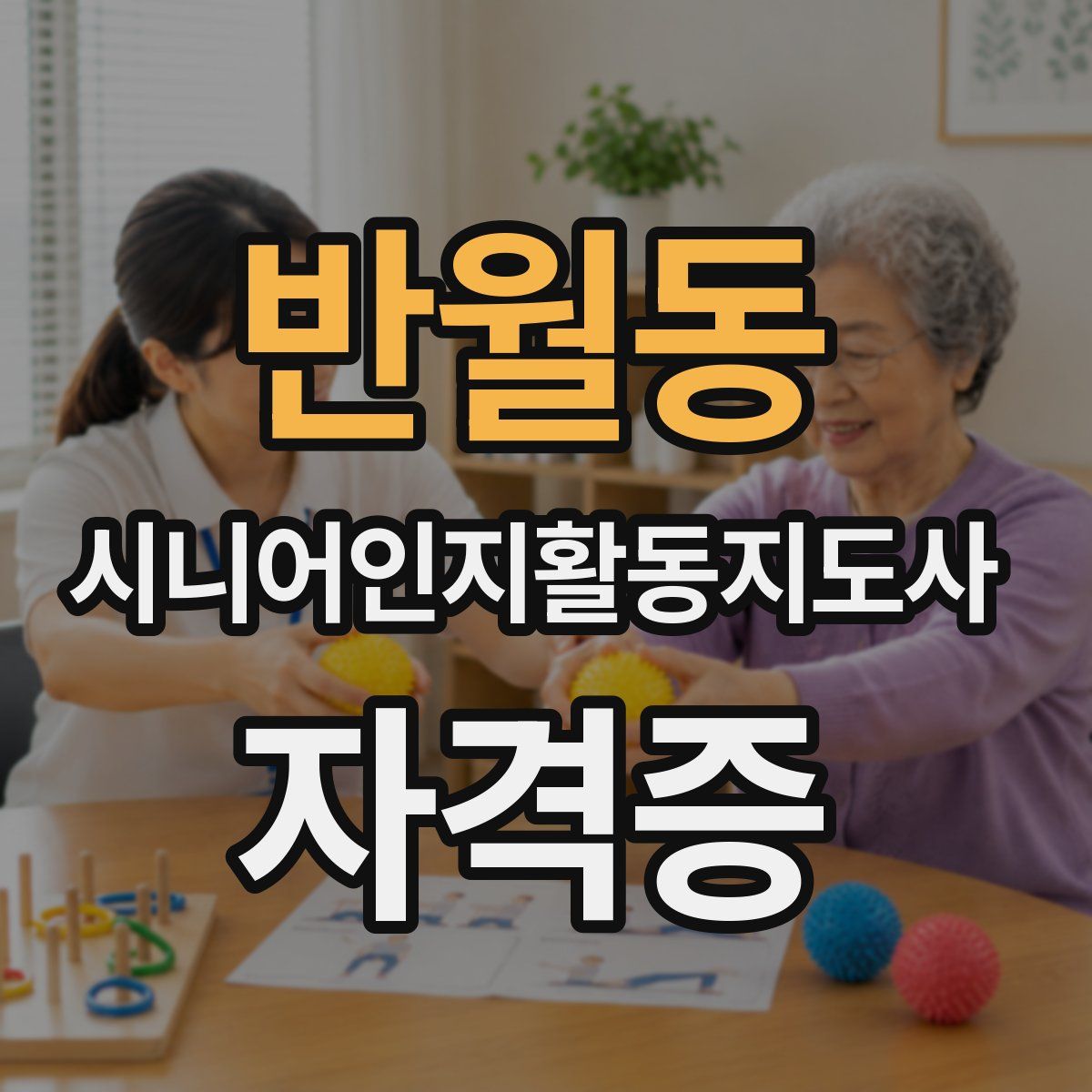 반월동 시니어인지활동지도사 자격증