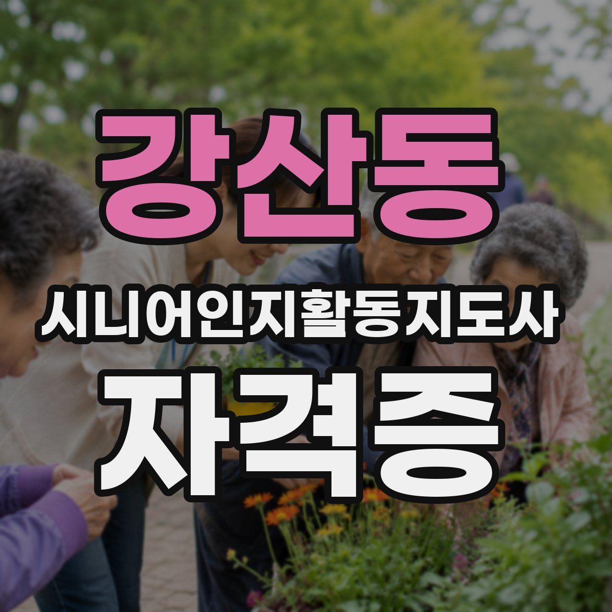 강산동 시니어인지활동지도사 자격증