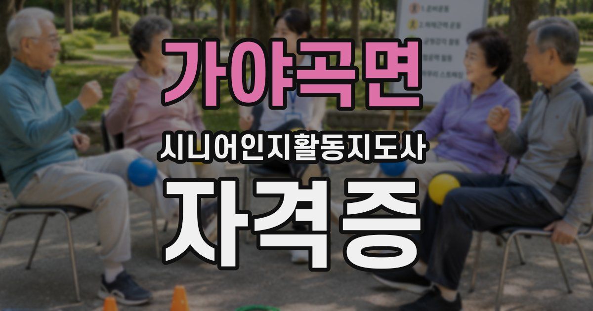가야곡면 시니어인지활동지도사 자격증