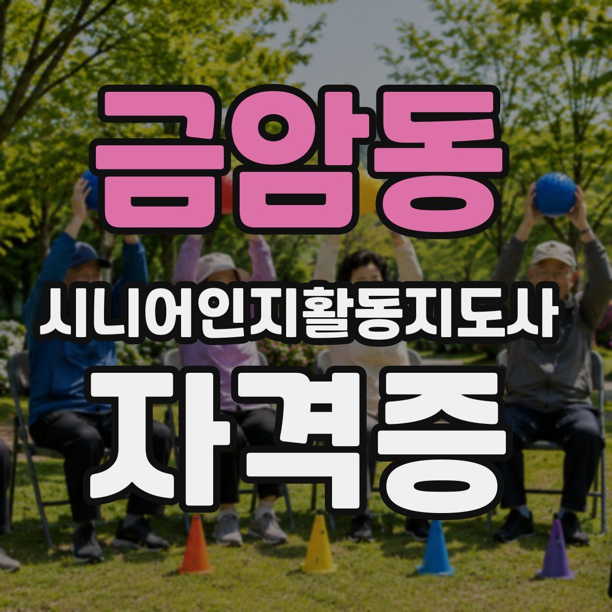 금암동 시니어인지활동지도사 자격증