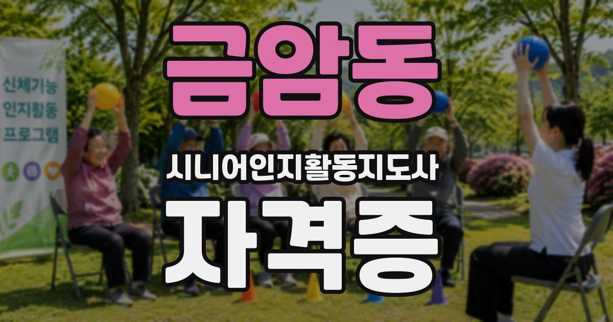 금암동 시니어인지활동지도사 자격증