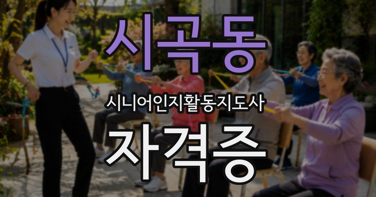 시곡동 시니어인지활동지도사 자격증