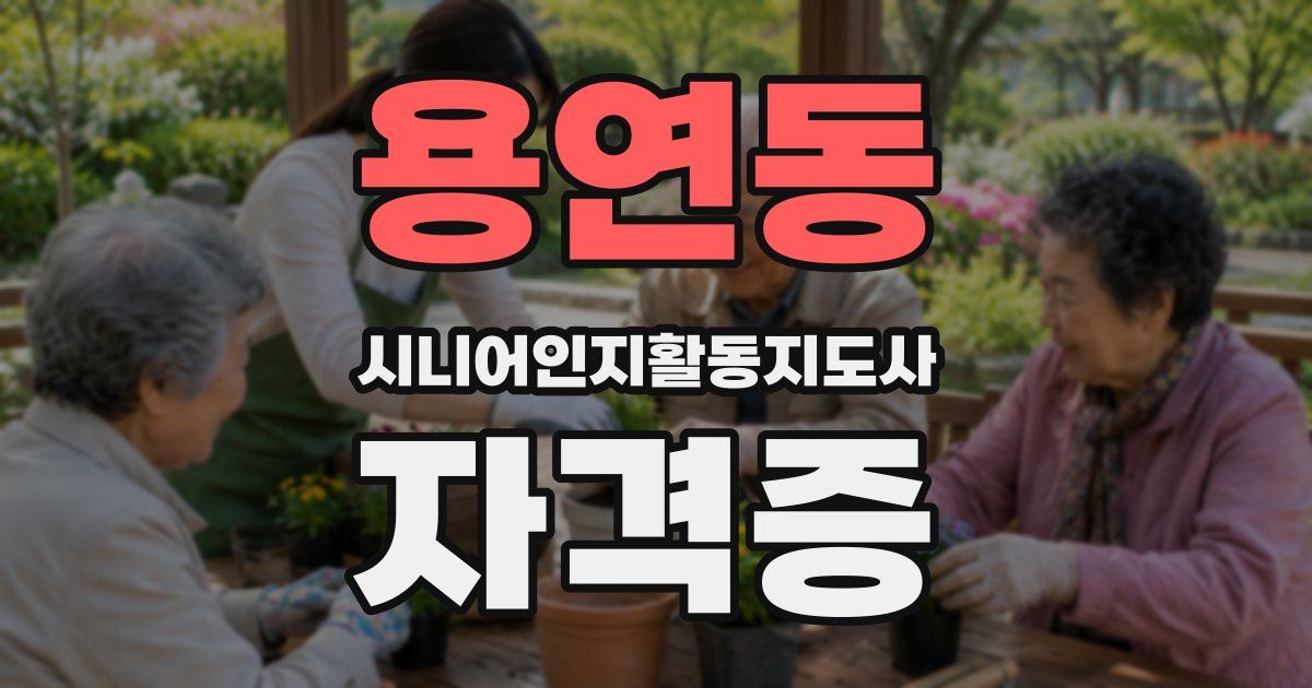 용연동 시니어인지활동지도사 자격증