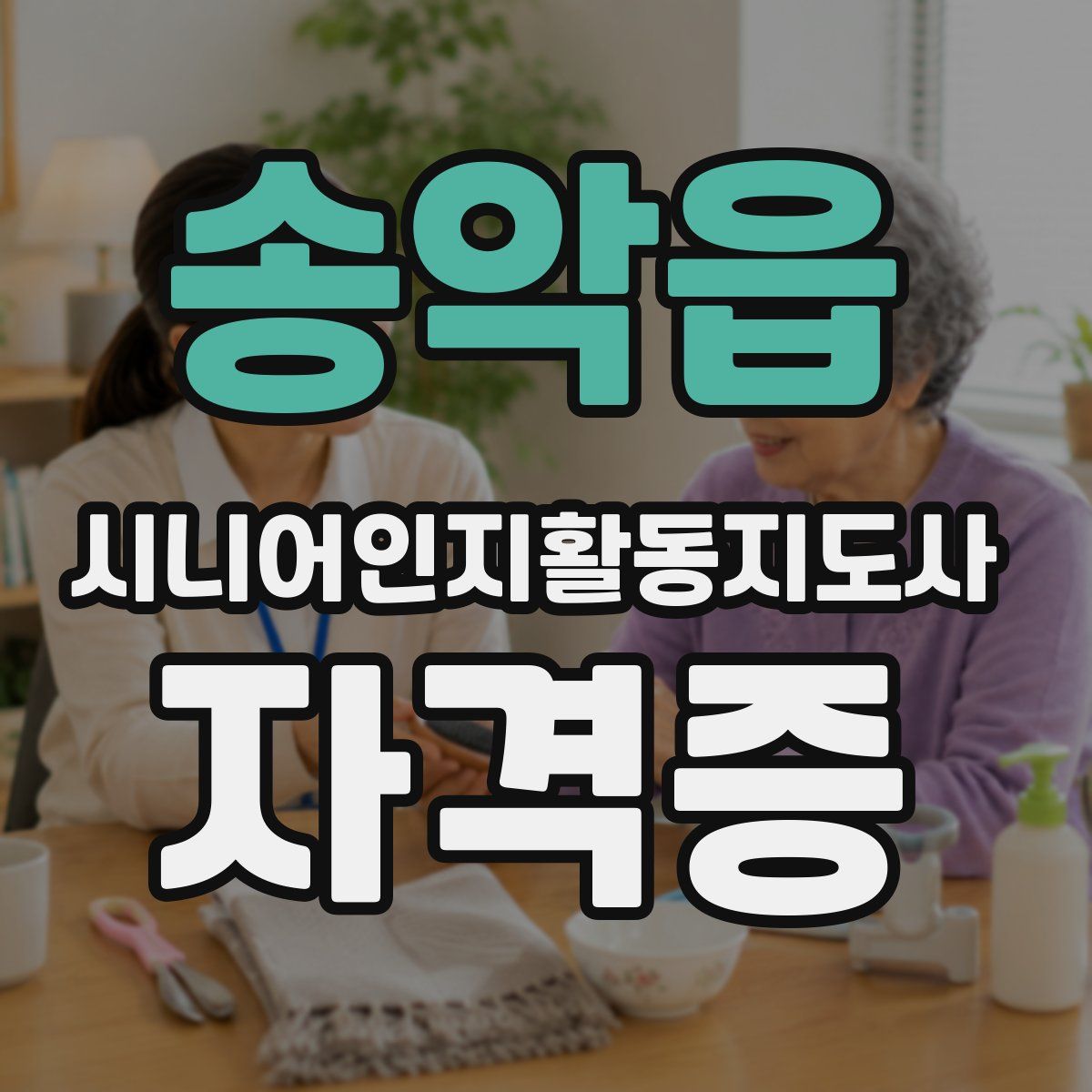송악읍 시니어인지활동지도사 자격증