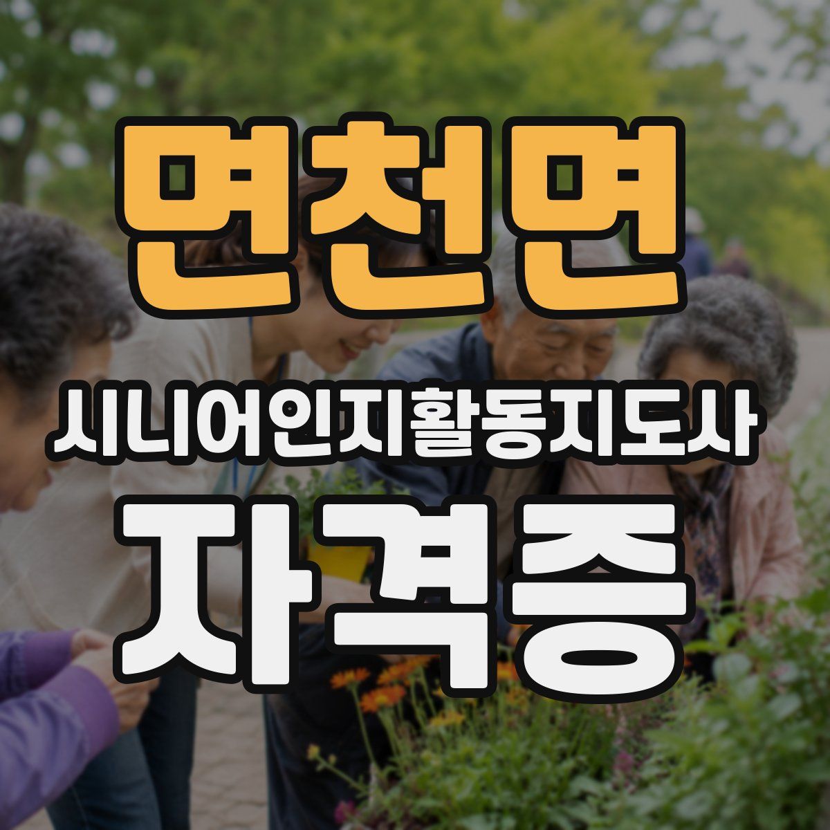 면천면 시니어인지활동지도사 자격증