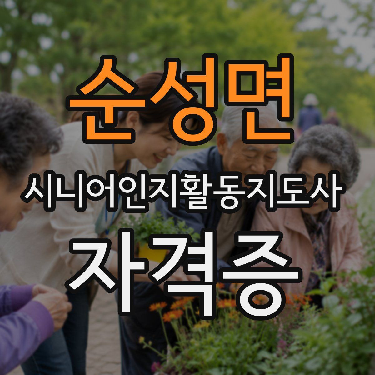 순성면 시니어인지활동지도사 자격증