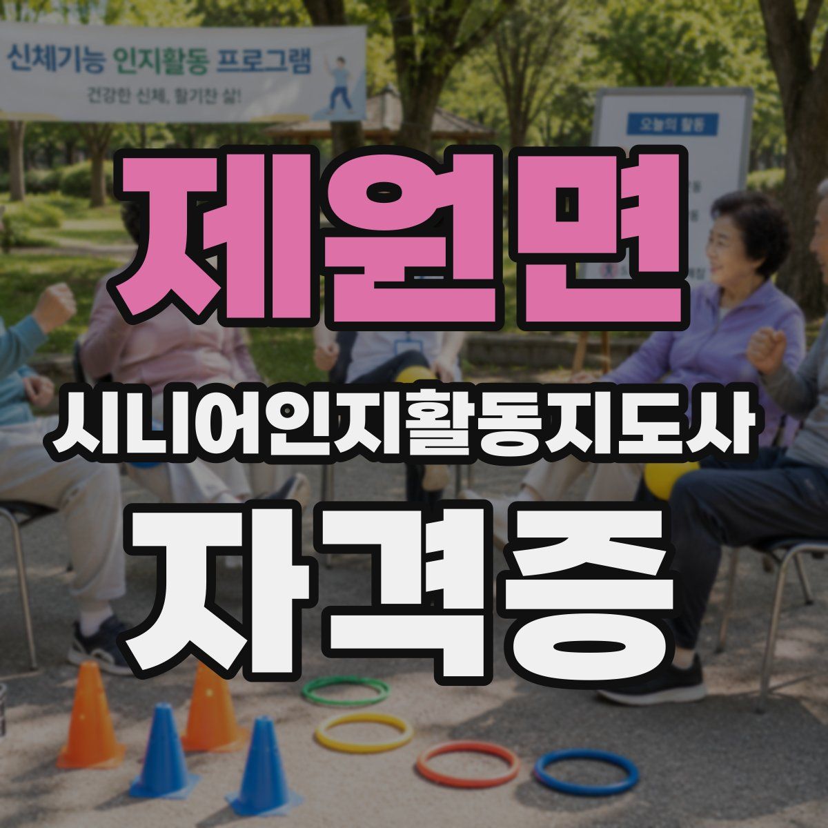 제원면 시니어인지활동지도사 자격증