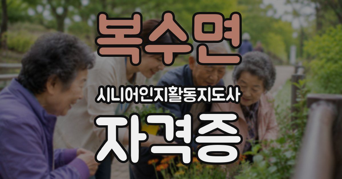 복수면 시니어인지활동지도사 자격증