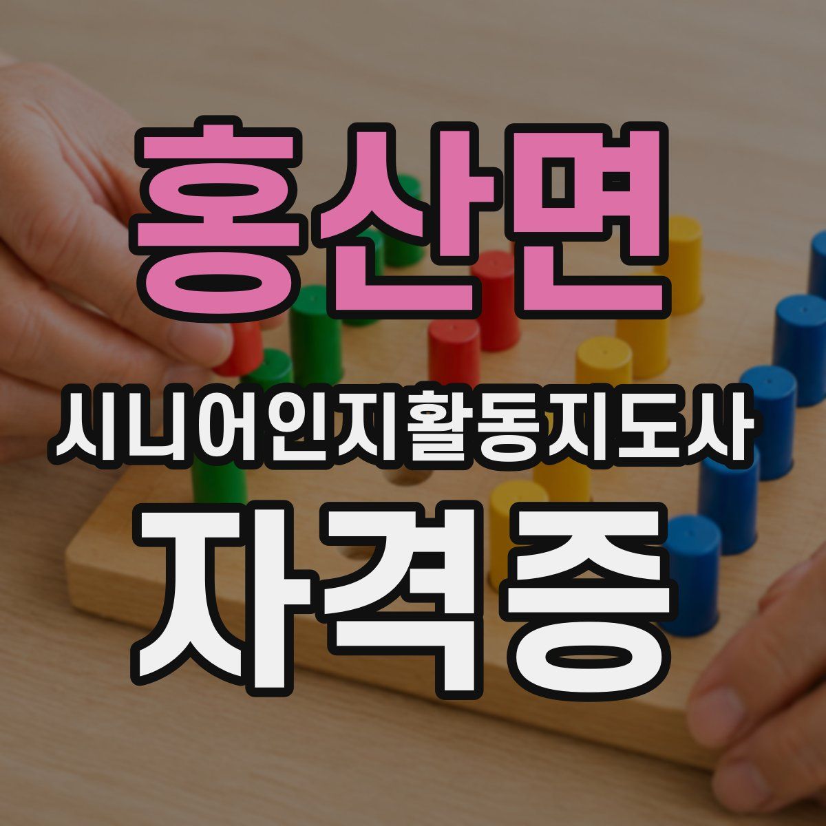 홍산면 시니어인지활동지도사 자격증