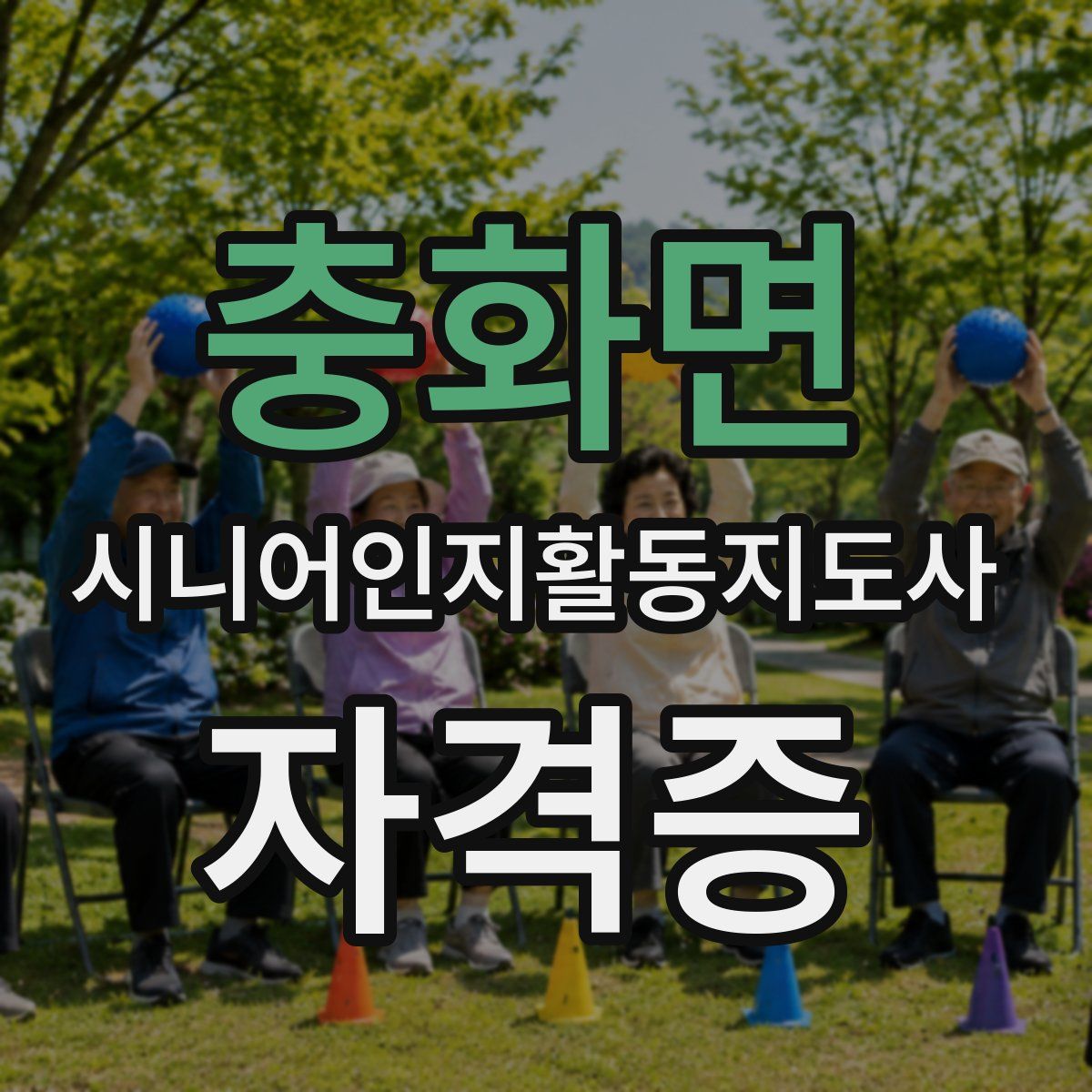 충화면 시니어인지활동지도사 자격증
