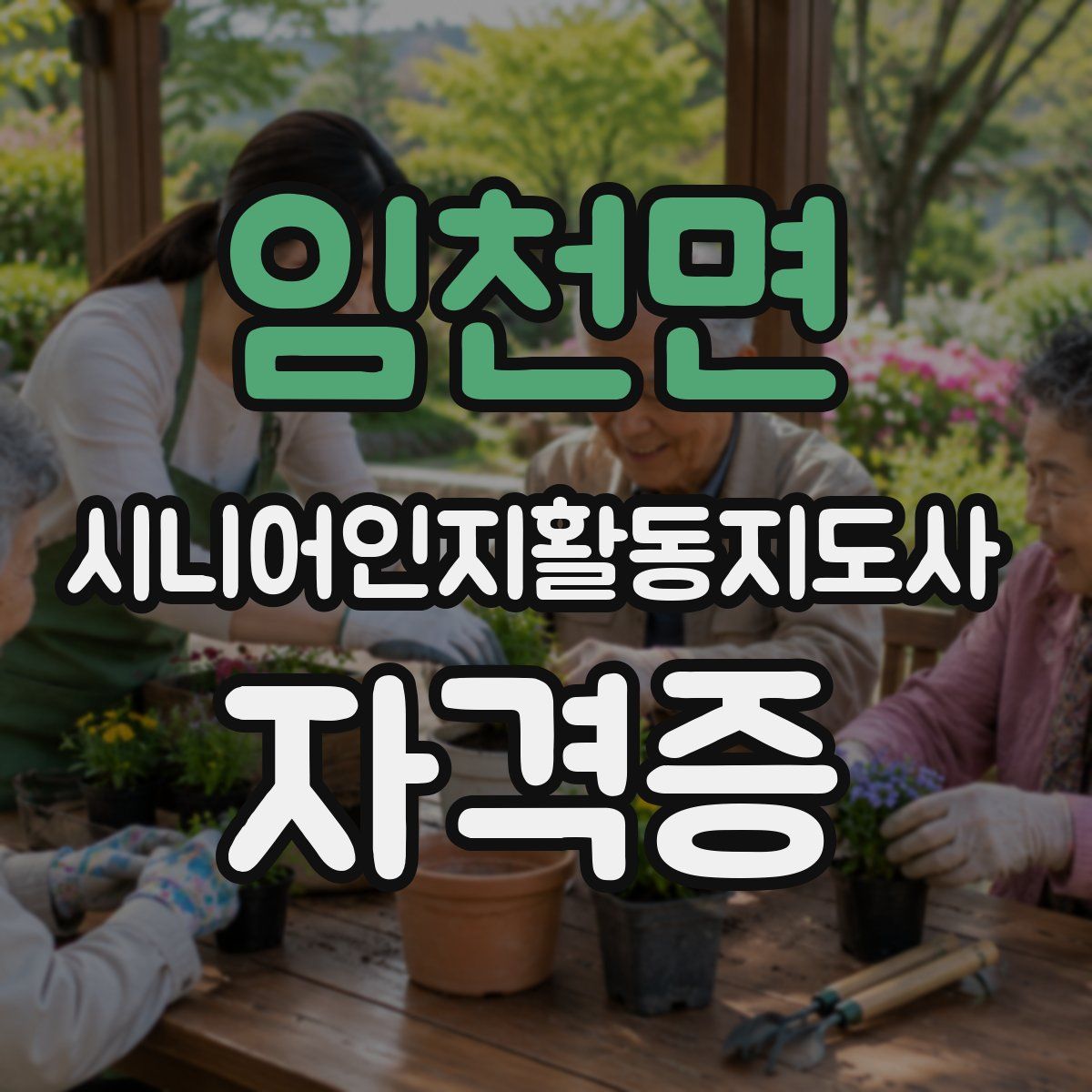 임천면 시니어인지활동지도사 자격증