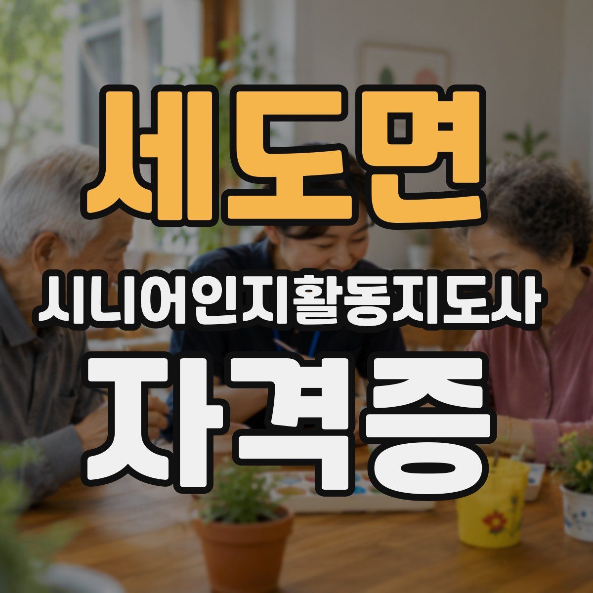 세도면 시니어인지활동지도사 자격증