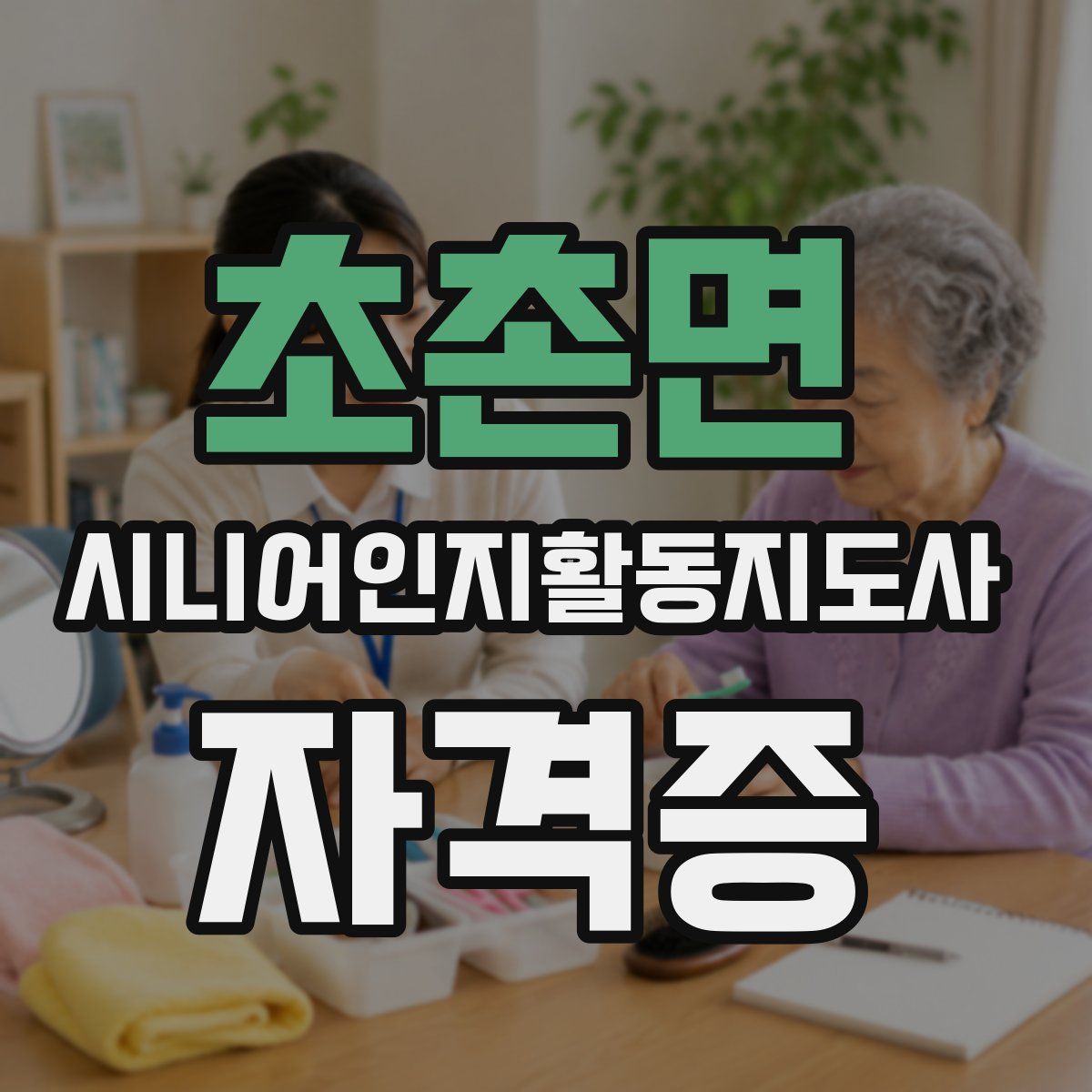 초촌면 시니어인지활동지도사 자격증