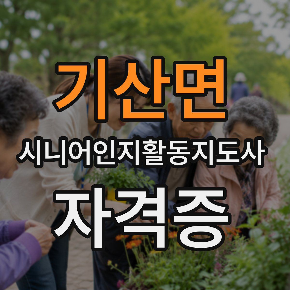 기산면 시니어인지활동지도사 자격증
