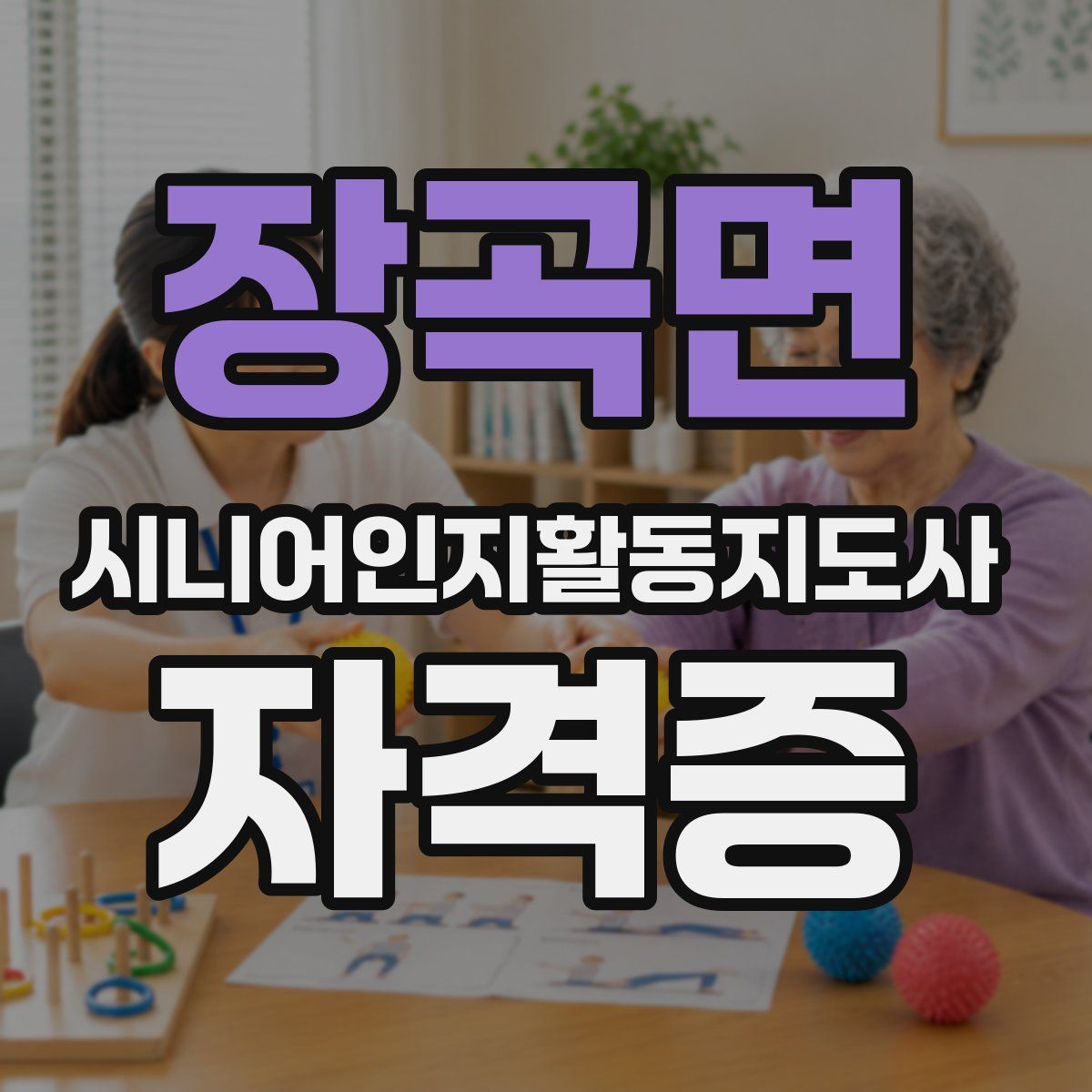 장곡면 시니어인지활동지도사 자격증