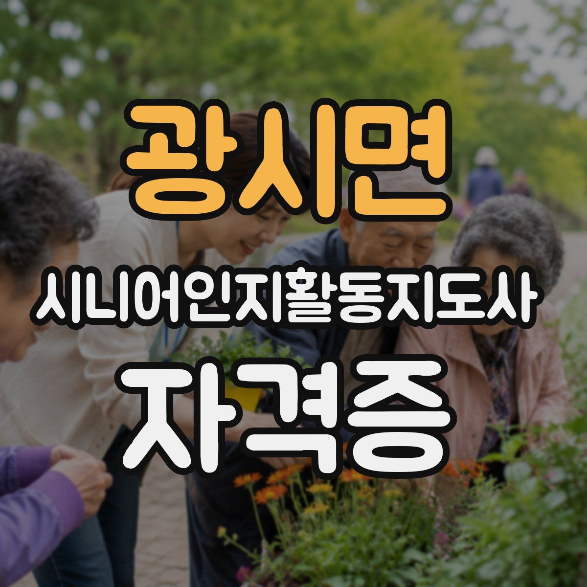 광시면 시니어인지활동지도사 자격증