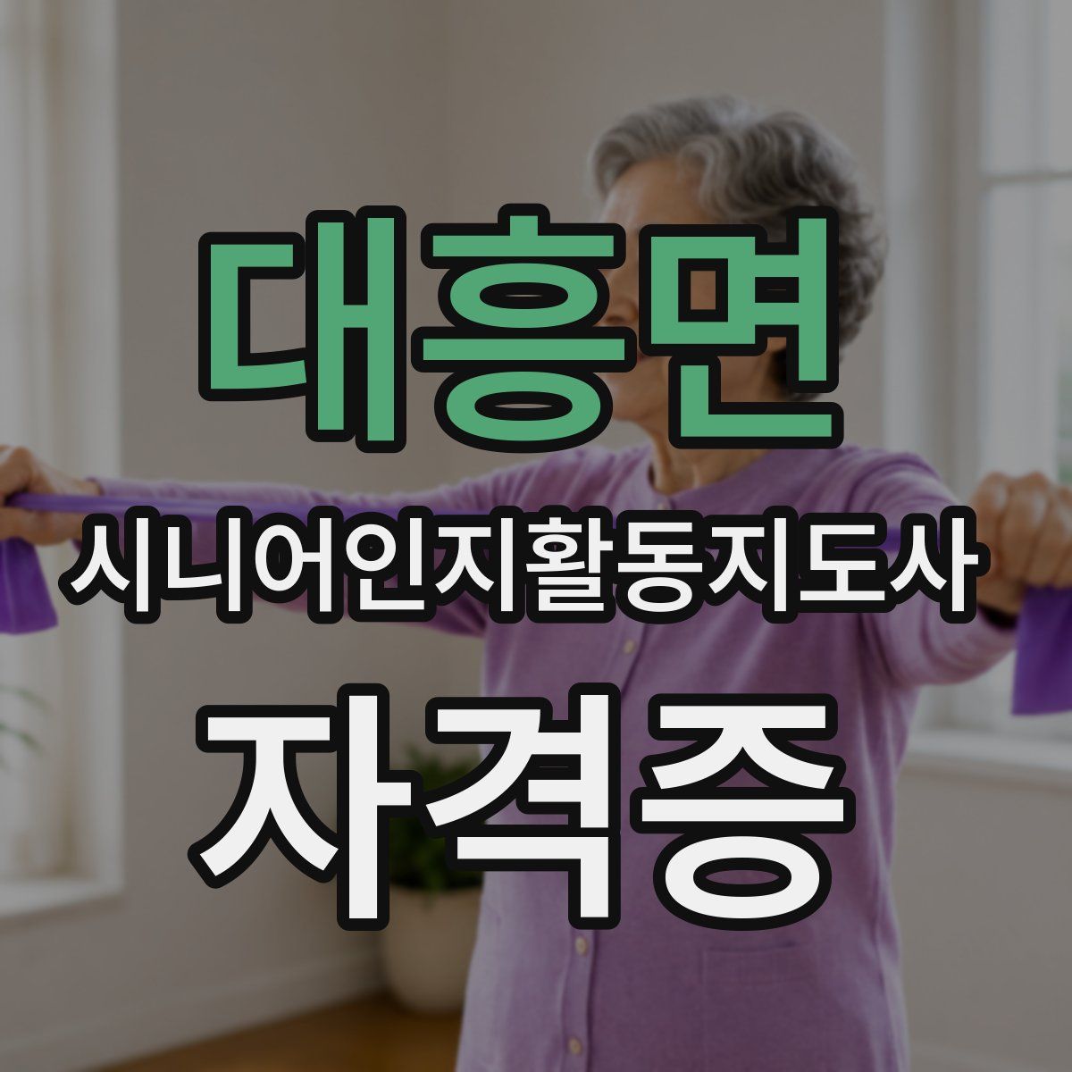 대흥면 시니어인지활동지도사 자격증