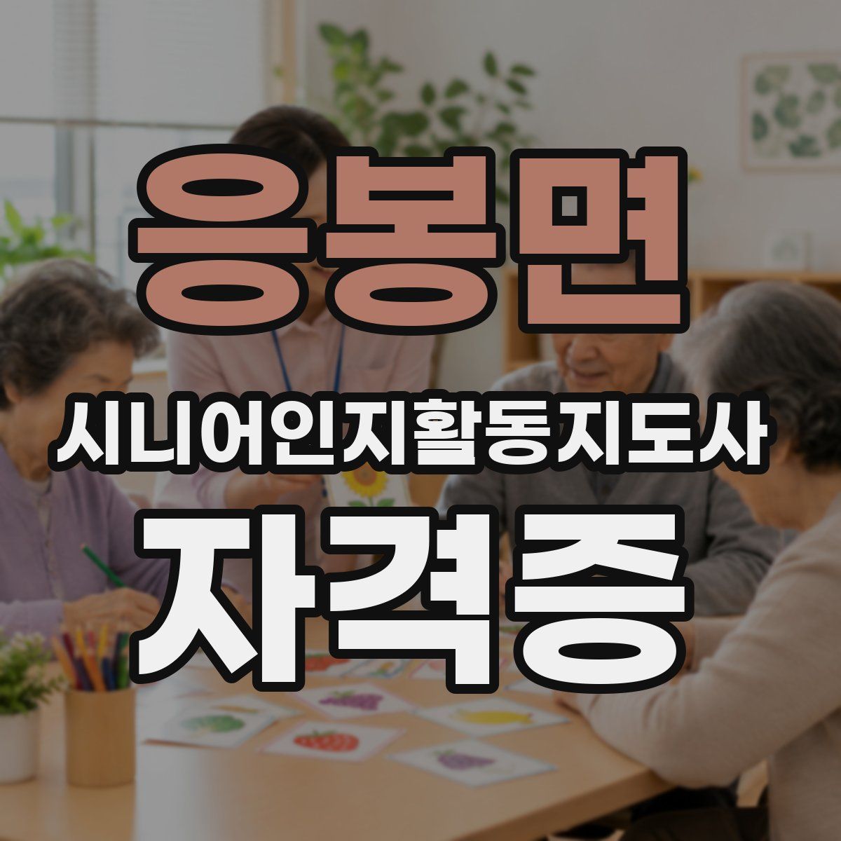 응봉면 시니어인지활동지도사 자격증