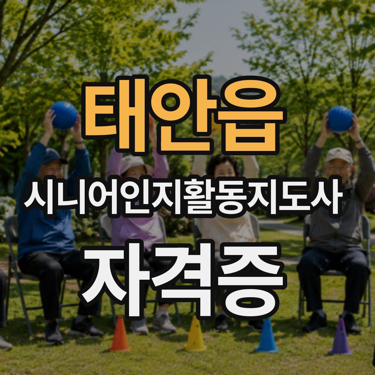 태안읍 시니어인지활동지도사 자격증