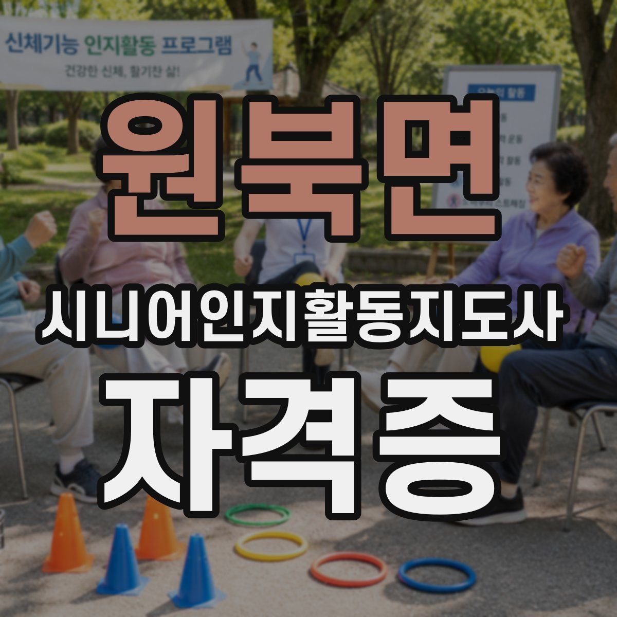원북면 시니어인지활동지도사 자격증